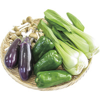 炒め物用野菜セット