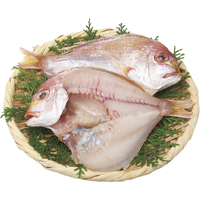 長崎県産レンコ鯛開き