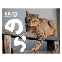 岩合光昭　猫カレンダー　のら