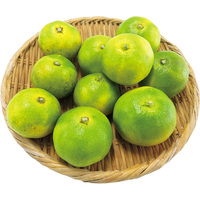 温州みかん1．6kg【長崎南部】