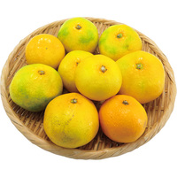 【お試し】温州みかん1．2kg