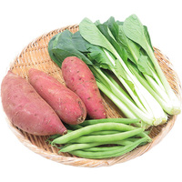 あっぱれ育ち野菜セット（みんなの未来）（WEB）