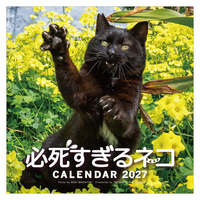 必死すぎるネコカレンダー
