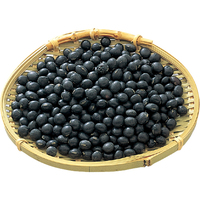 【正月】黒豆（華大黒）250g12月3回配