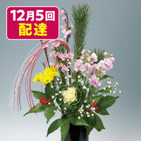 初春　桜（8種8本）