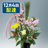初春　桜（8種8本）