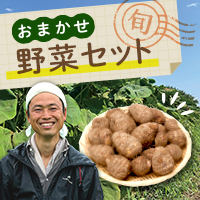 おまかせ野菜セット