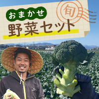 おまかせ野菜セット