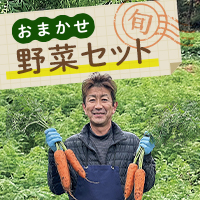 おまかせ野菜セット