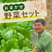 おまかせ野菜セット