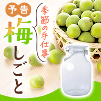 季節の手仕事　梅しごと