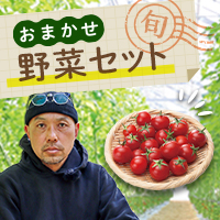 おまかせ野菜セット