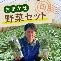おまかせ野菜セット