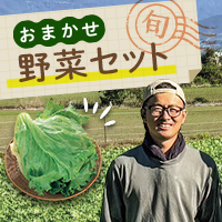 おまかせ野菜セット