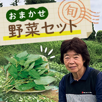 おまかせ野菜セット