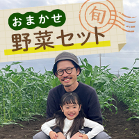 おまかせ野菜セット