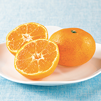 温州みかん1．6kg【KARP】