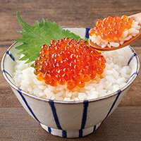 雄武産いくら醤油漬40g